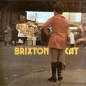 'Brixton Cat' Artwork