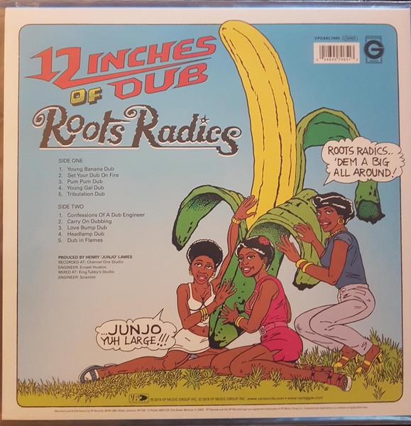 back - The Roots Radics - 12 Inches Of Dub