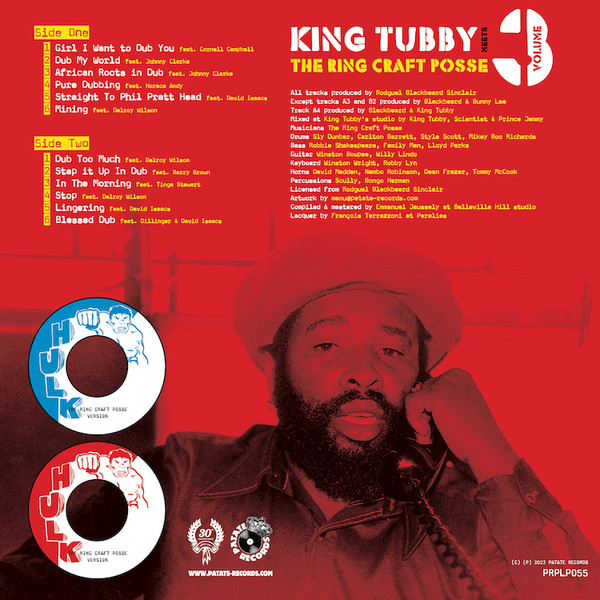 back - King Tubby Meets The Ring Craft Posse - Dub Too Much (Volume 3)