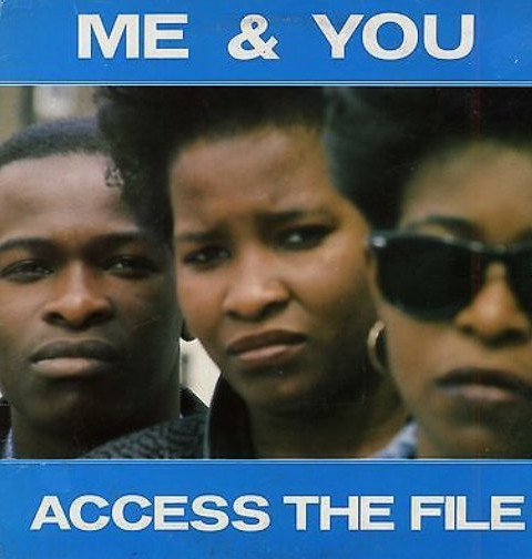 Access The File cover