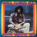 'Roots Radics Dub' Artwork