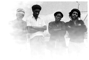 Cultural Roots photo 1