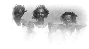 The Viceroys photo 3