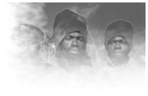 The Abyssinians photo 1