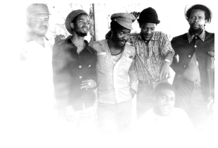 The Roots Radics