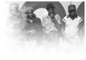 The Roots Radics photo 2