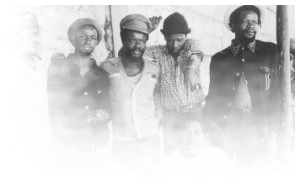 The Roots Radics photo 1