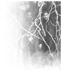 The Pioneers photo 4