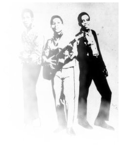 The Pioneers photo 2