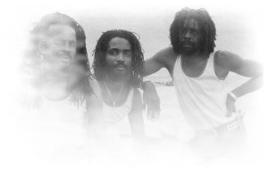 The Viceroys photo 1