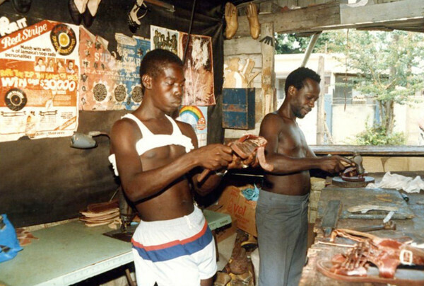 General Trees photo 2