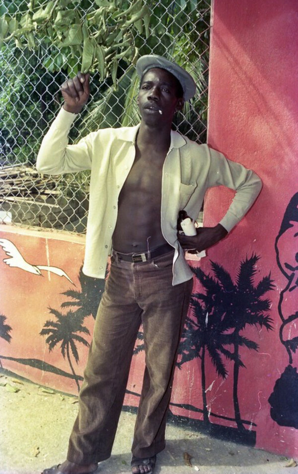 General Trees photo 1