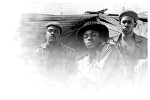 The Mighty Diamonds photo 1