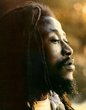 Sammy Dread Photo