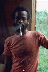 This photo is titled A Spliff a Day...